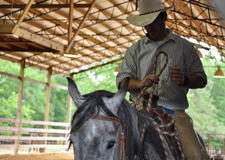 Mike Flynn @ Dixon Stables Apprenticeship Program